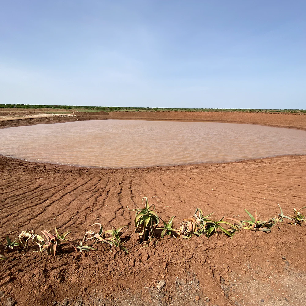 Vegetative Erosion Control Methods - Keeps Sanitation and Construction